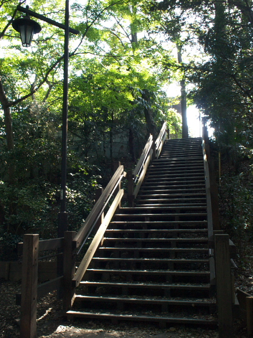 d0125535_15503653.jpg