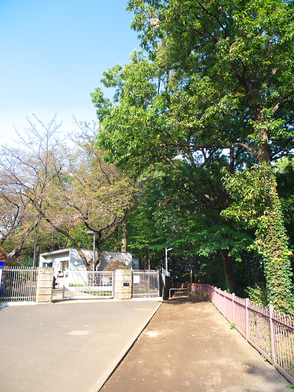 いつもの散歩道（1）_d0125535_1551661.jpg