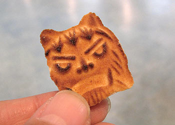 c0088739_22354788.jpg