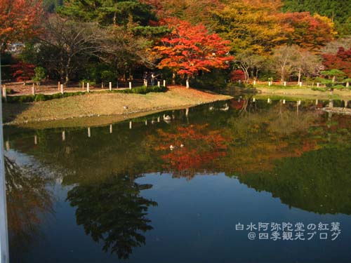 11月7日　阿弥陀堂・中釜戸・松ヶ岡公園の紅葉_f0105342_16132198.jpg