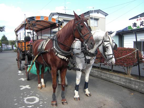 馬車を学ぶ旅パート6 厳美渓観光馬車 まさに馬車のごとく 馬車を学ぶ旅パート6 厳美渓観光馬車 まさに馬車のごとく