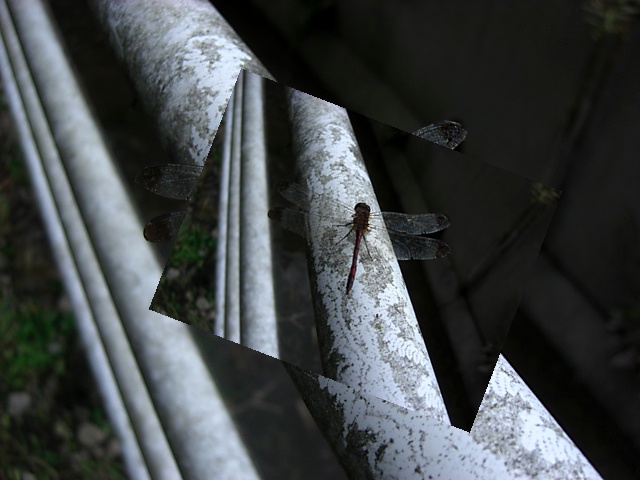 f0031546_23154323.jpg