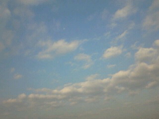 空を見る…♪(´▽`)/~_c0210747_7555317.jpg