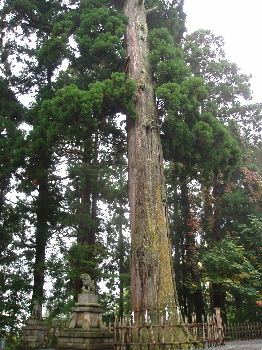 長野プチ旅行記 ②(続き)_a0061057_23654100.jpg