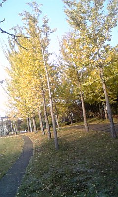 b0074359_16214471.jpg