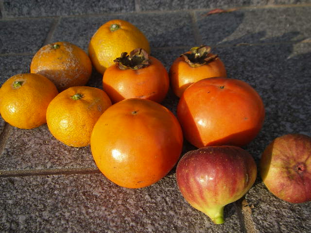 e0181260_2126332.jpg