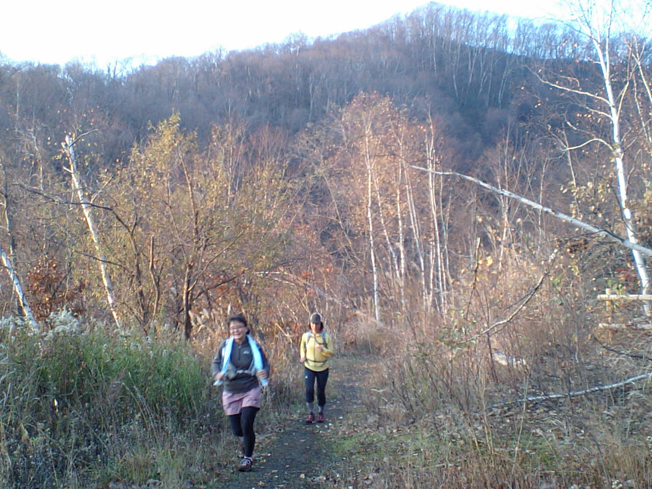 d0098665_1735329.jpg