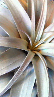 a0125667_14194829.jpg