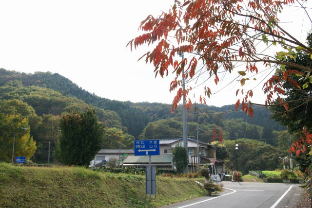 a0113874_1844029.jpg