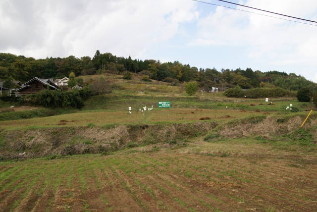 a0113874_1871494.jpg