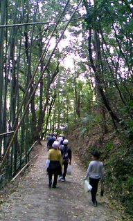 a0099285_052775.jpg