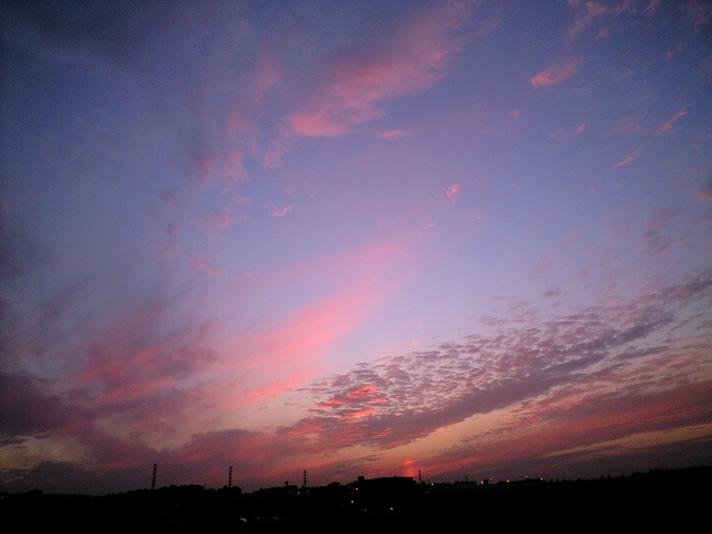 f0061585_17121383.jpg