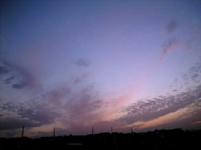 f0061585_171245.jpg