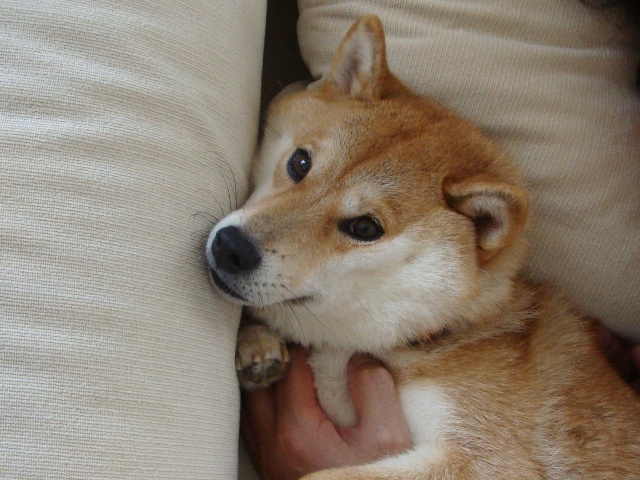 渓谷ハイキング_a0126590_22183293.jpg