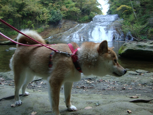 渓谷ハイキング_a0126590_221927100.jpg