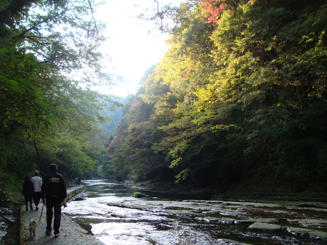 渓谷ハイキング_a0126590_22194739.jpg