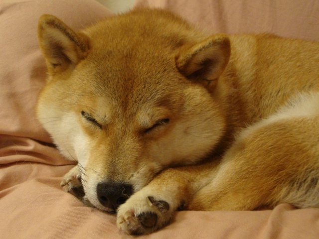 渓谷ハイキング_a0126590_22211226.jpg