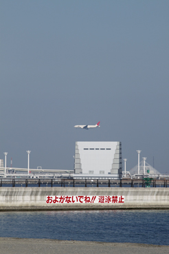 c0096393_21184662.jpg