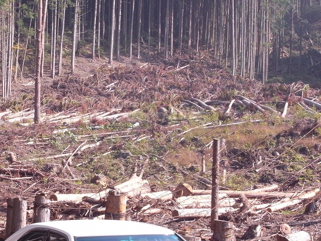 e0183495_9365890.jpg