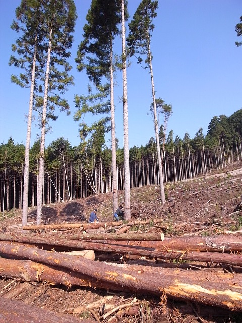 e0183495_9415672.jpg