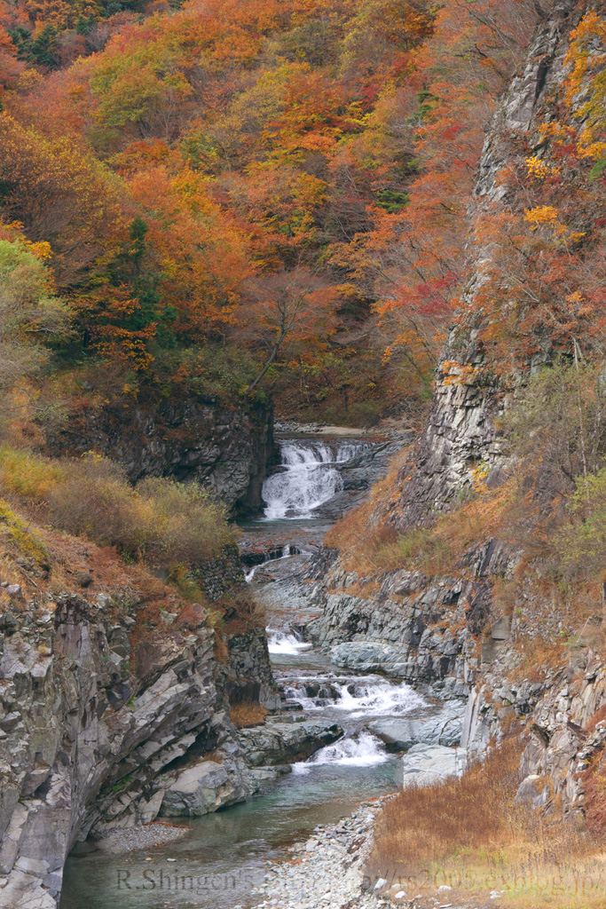 c0025498_0325667.jpg