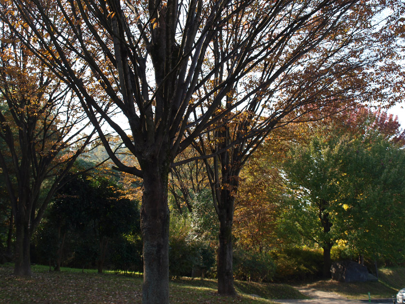 f0108399_2112116.jpg