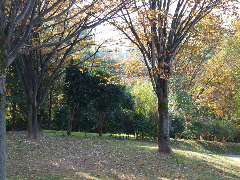 f0108399_21123761.jpg
