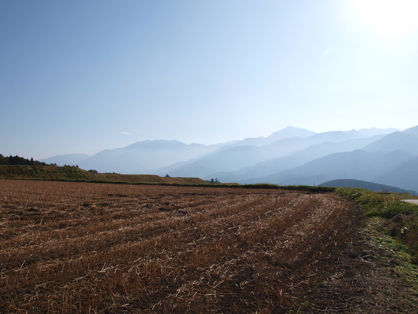 f0108399_2113252.jpg