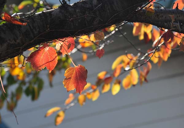 a0044202_13393338.jpg