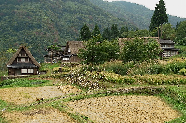 e0039703_0125497.jpg
