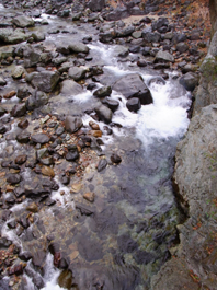 c0195909_16202411.jpg