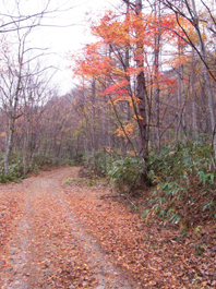 c0195909_1620388.jpg