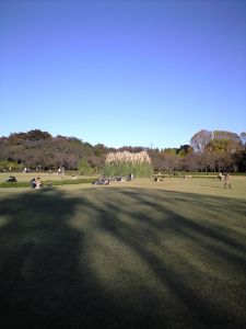 f0006509_07475.jpg