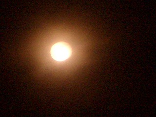 c0030112_2140038.jpg