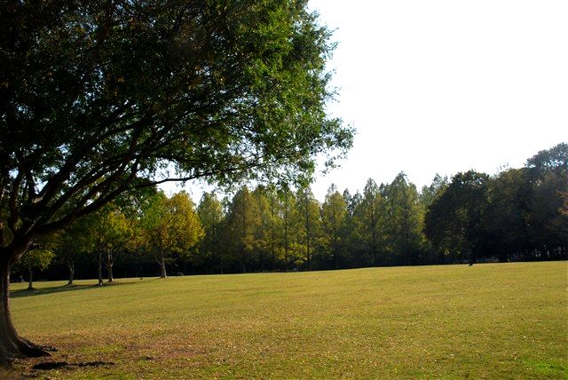 c0116714_10375882.jpg