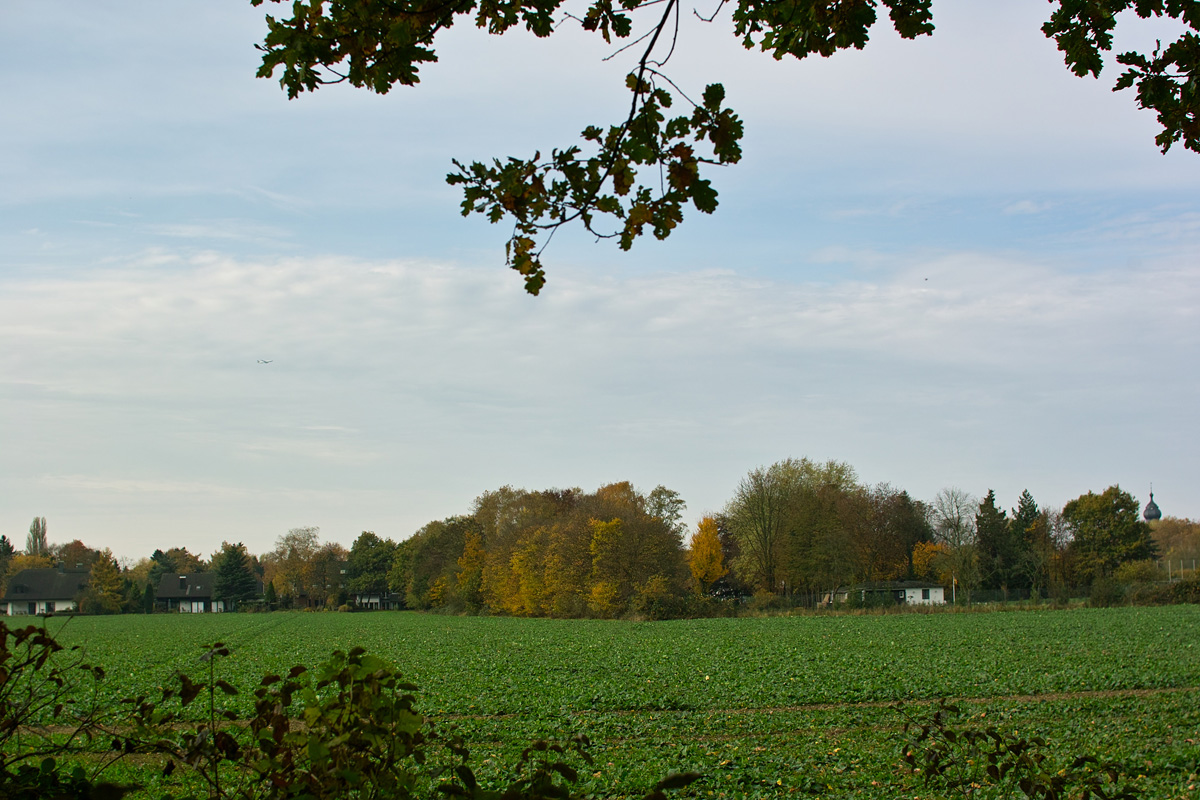 b0148617_1491717.jpg