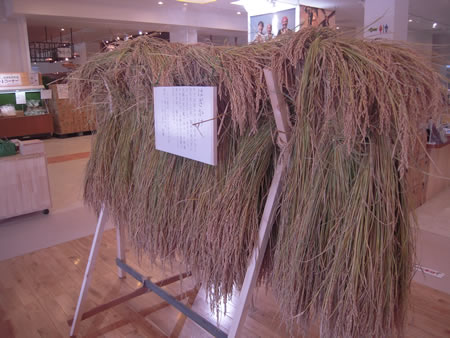 d0063218_11103266.jpg
