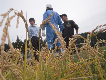 d0063218_1151879.jpg