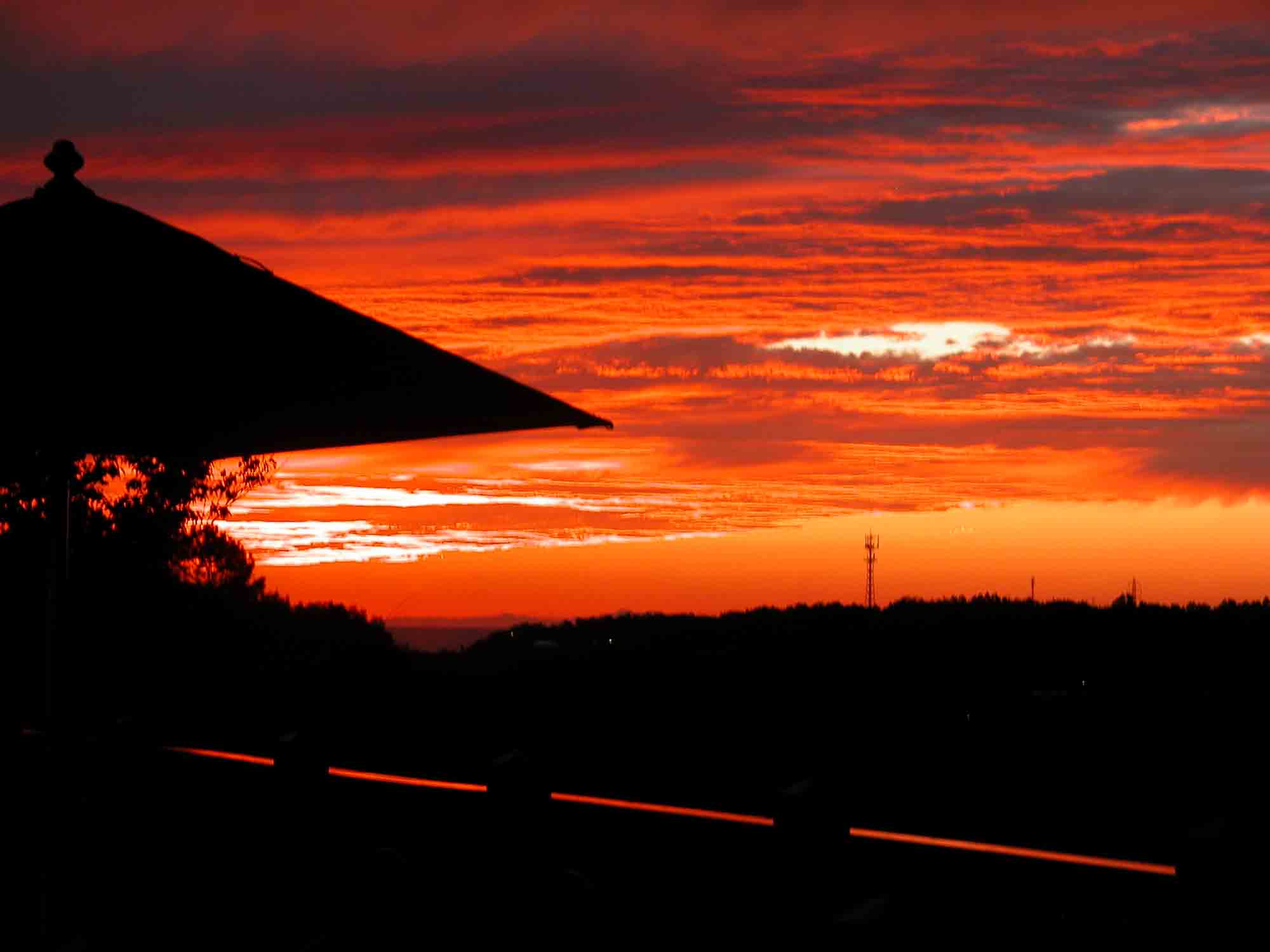 4時を過ぎた モネの庭 では夕日のスポットライト モネの庭だより