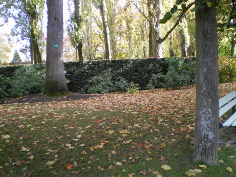 c0124619_2314381.jpg