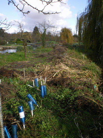 c0124619_4121595.jpg