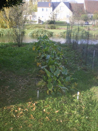 c0124619_41302.jpg