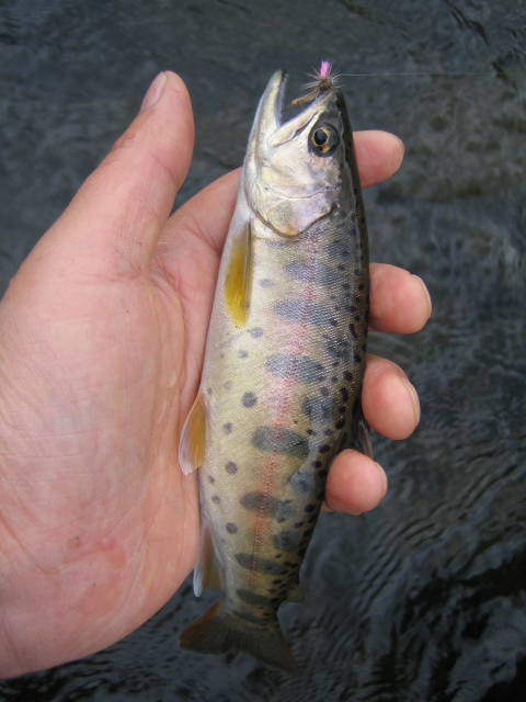 e0063923_28493.jpg