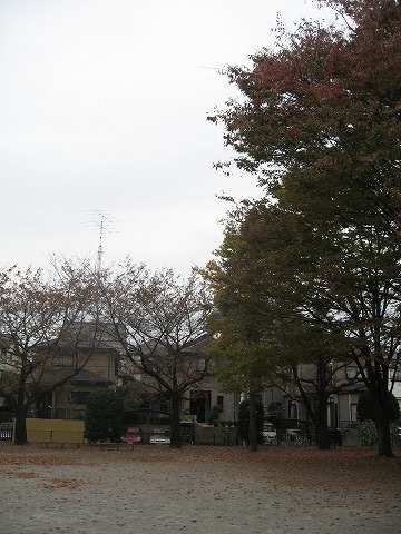 e0162524_1253133.jpg