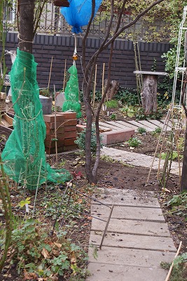 f0170524_15582236.jpg