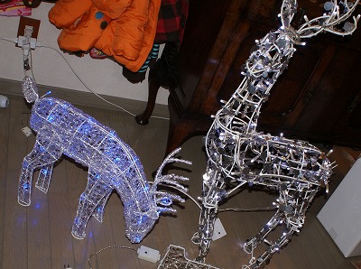 f0170524_15593617.jpg