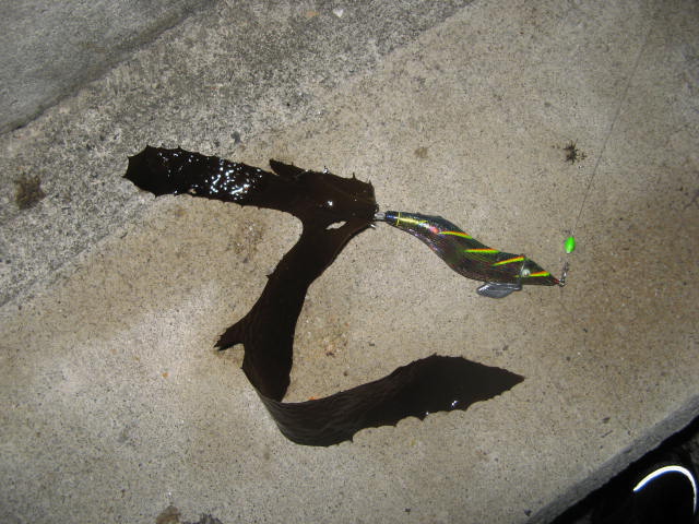 c0168626_1852912.jpg