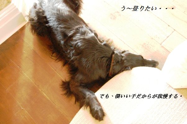 ゾンビな朝は・・・・(笑)_d0104926_1565438.jpg