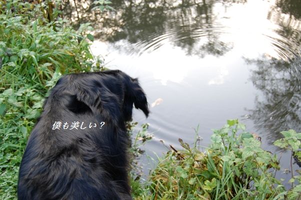 ゾンビな朝は・・・・(笑)_d0104926_2105676.jpg