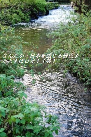 ゾンビな朝は・・・・(笑)_d0104926_2132931.jpg